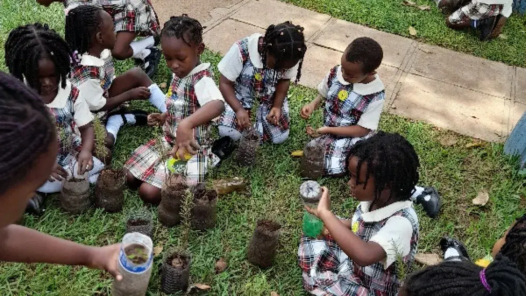 Gardening sessions at school.
