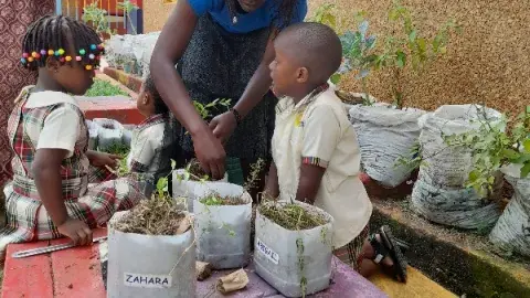 My little garden in the making.